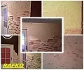 Zdjęcie z galerii